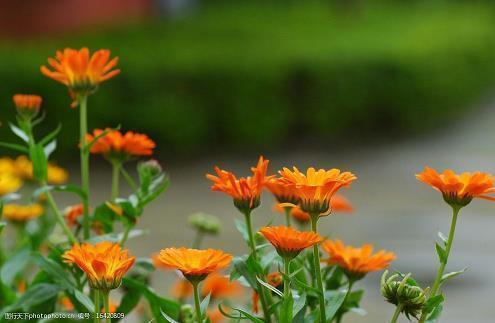 开学第一天朋友圈文案说说(精选38句)