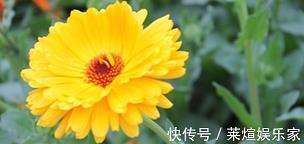 感情的句子说说心情短句(精选56句)