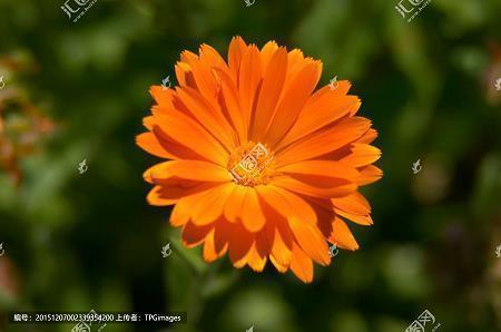 新的一天开始精美语句 美好的一天短句子59句