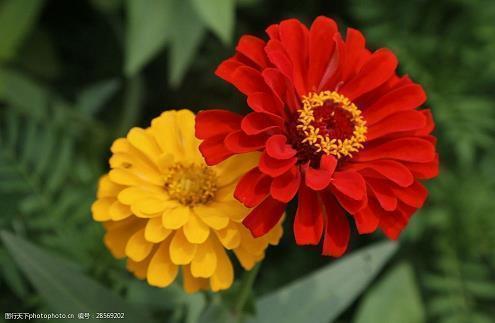 【精华】描写雨天心情唯美句子 描写下雨的心情的句子汇编96句