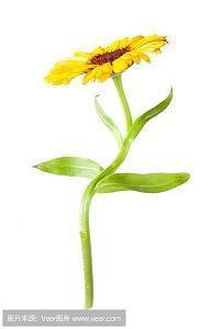 美好的一天从清晨开始的句子短语大全-精选美好,清晨精选句子18句