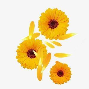 心情开心的古风短句子