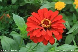 精辟人生感悟句子简短 有深度有涵养的句子(精选79句)