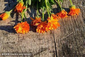 朋友圈吸引人的说说 抖音吸引加粉点赞的句子收集22句