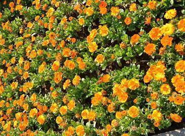 描写洞庭湖的句子14句