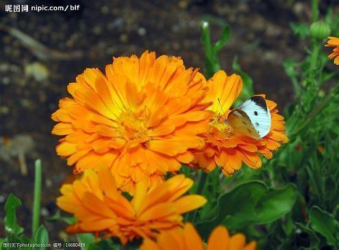 描述悲伤的歌词短句子 歌词里伤感的说说句子