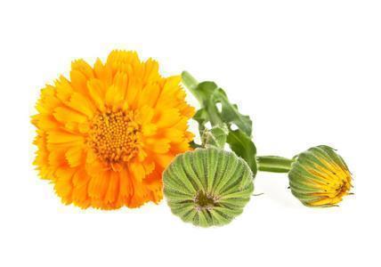 不辜负时光的励志句子：一无所有，就是拼的理由