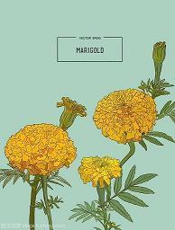 清晨微语分享每日一条正能量早安心语收录28句