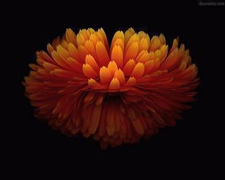 绝美意境古风美句 古风唯美意境句子(精选66句)