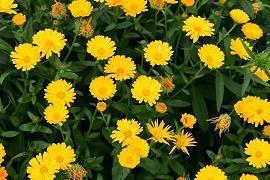 形容太阳炎热的句子(精选21句)