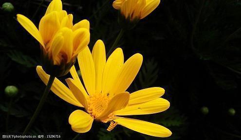 描写夏天的句子一年级