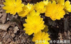 致朋友励志感恩的句子英文句子