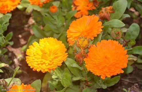 有创意的绿色环保口号标语大全