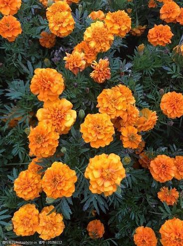 爱痛了心碎了句子