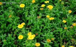 灵魂深处的友情的句子15句