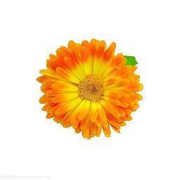 关于婚纱的唯美句子 描述婚纱照的唯美句子36句