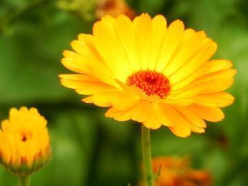 有钱没钱开心最重要的句子 有钱没钱都得开开心心的活着句子