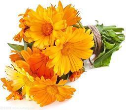 用莫衷一是造句大全