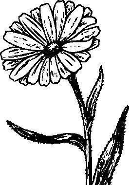 情侣重逢的句子大全(精选82句)