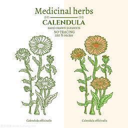 晚安说说正能量集合28句