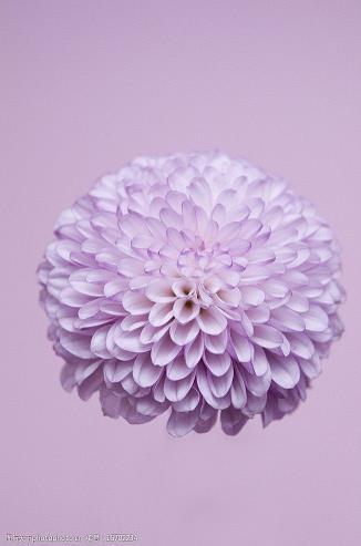 感觉开心充实的句子