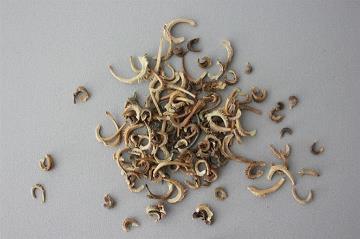 阳光句子简短