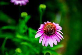 心累慌慌的句子