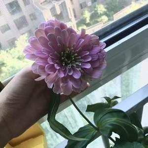 关于工作的抒情句子