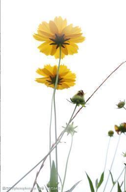 感动到哭的父爱句 表达父爱最感人的句子汇编66句