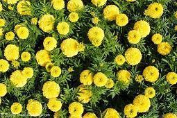 每日早安语录哲理心语精选38句