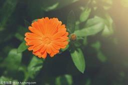 早安温馨问候语 五月最后一天的早安问候语汇总80句