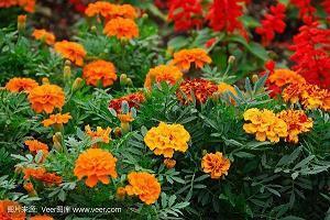 空虚寂寞冷的说说30句