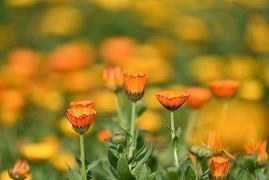 早上给女朋友暖心的话大全-优秀的早上文案摘抄29句