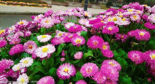 泰坦尼克号的经典句子