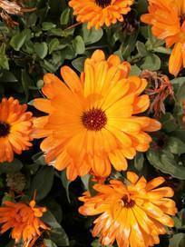 对现实失落失望的句子