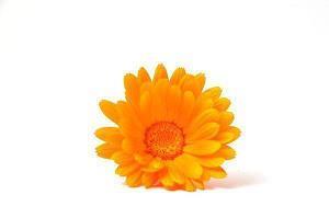 珍惜往后余生的经典句子 往后余生珍惜的句子