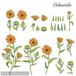 感谢女朋友礼物的句子