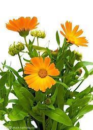 描写季节的唯美句子76句