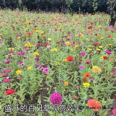 感叹岁月催人老的句子 雨近了远了去了又来了，四季在雨中逐渐