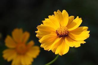 让女人感动流泪的情话 情侣间发微信的情话最暖心短句推荐33句