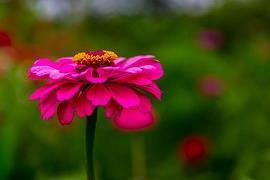 立冬朋友圈祝福语句子2021年(精选83句)