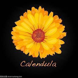 关于薄情的说说