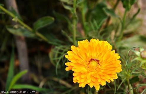 抖音最火的人生感悟句子七零后(精选44句)