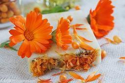 积极向上阳关语录 积极向上阳光的句子