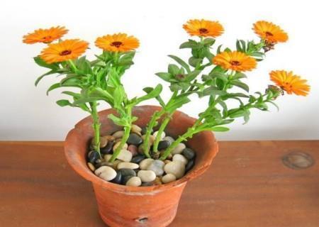 描写兄弟情义的句子47句