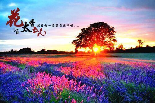 励志押韵句子(75句)