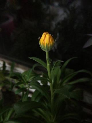 早安暖心话 适合早上发的朋友圈甜甜的早安语汇总39句