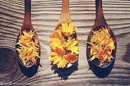 有关感恩母亲的句子