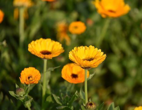 等待一个人的句子 我在等一个人，一直在等，静静的等，耐心的