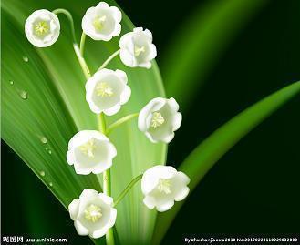 朋友圈暖心早安一句话正能量语录42句